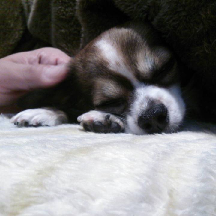 D82d3d37 44d8 450b 95a0 66e0741abda7