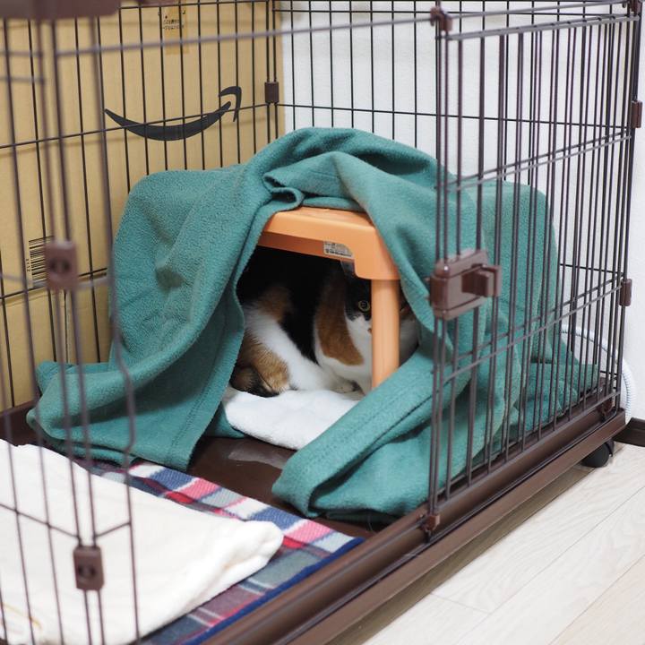 D82de876 58ac 4a91 9a11 de3939032332