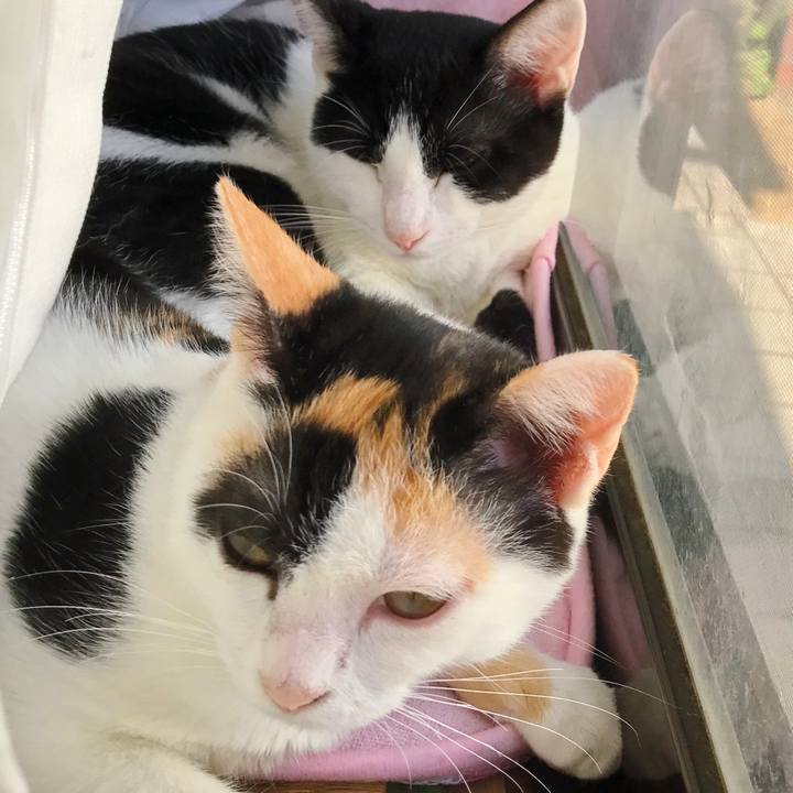 D82e8191 0fd7 4531 bb06 e17da2812bd7