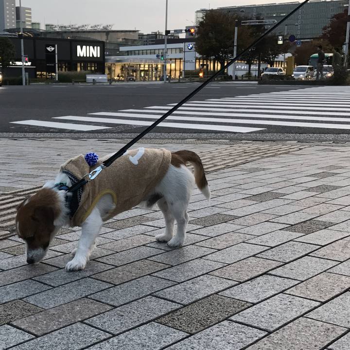 D82e84fb b525 4afb 8f2c 3121c9d37021