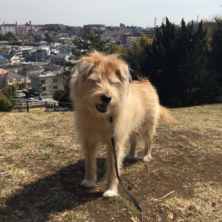 D82ef95e 0e12 451b a64a dfa5ad005750