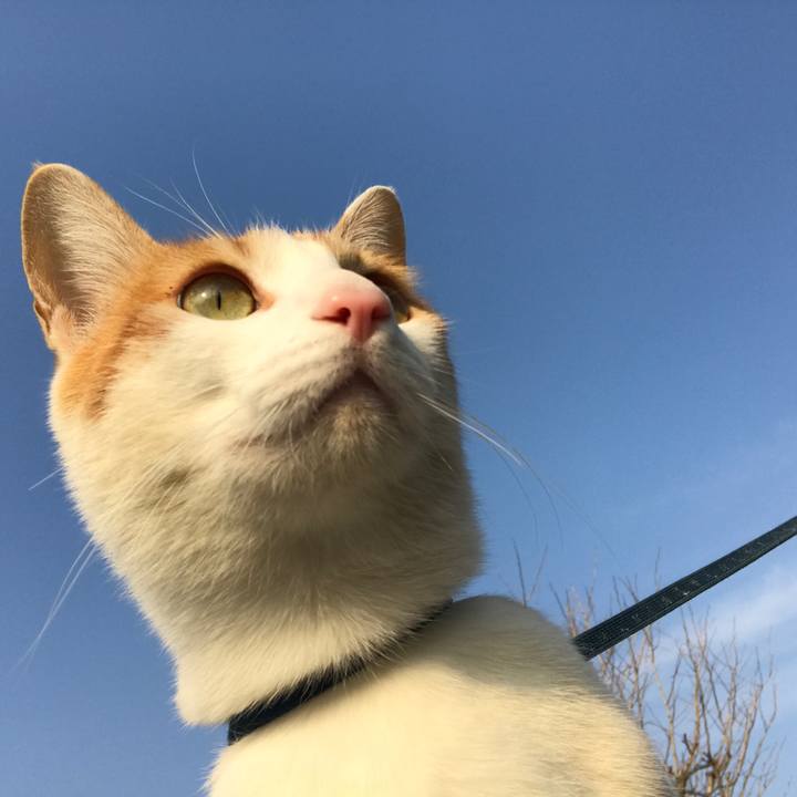 D82f9234 9e92 4fb0 92d0 7b088d480ecc