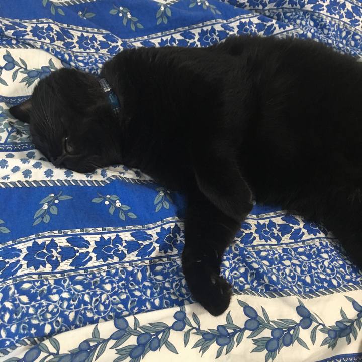 D82fa988 c033 4d4a 8d05 0cae6ccfc51f