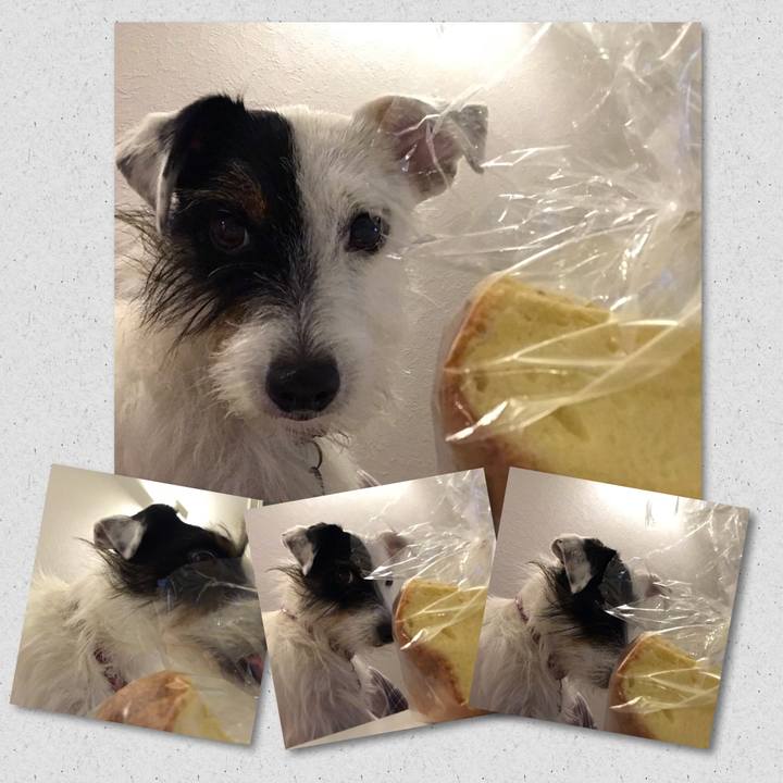 D82ff6c6 a5b3 4fb4 8f24 29a828567c11