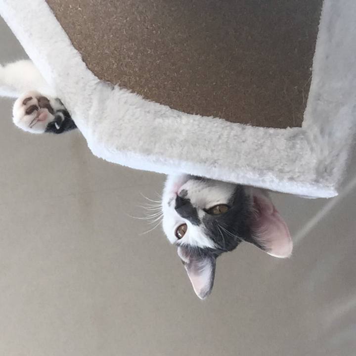 D830267b 7635 44fc 89f0 093241c56cb6