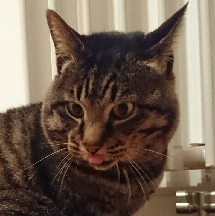 D83094f9 610a 40d3 8342 6b5986ae6d1c