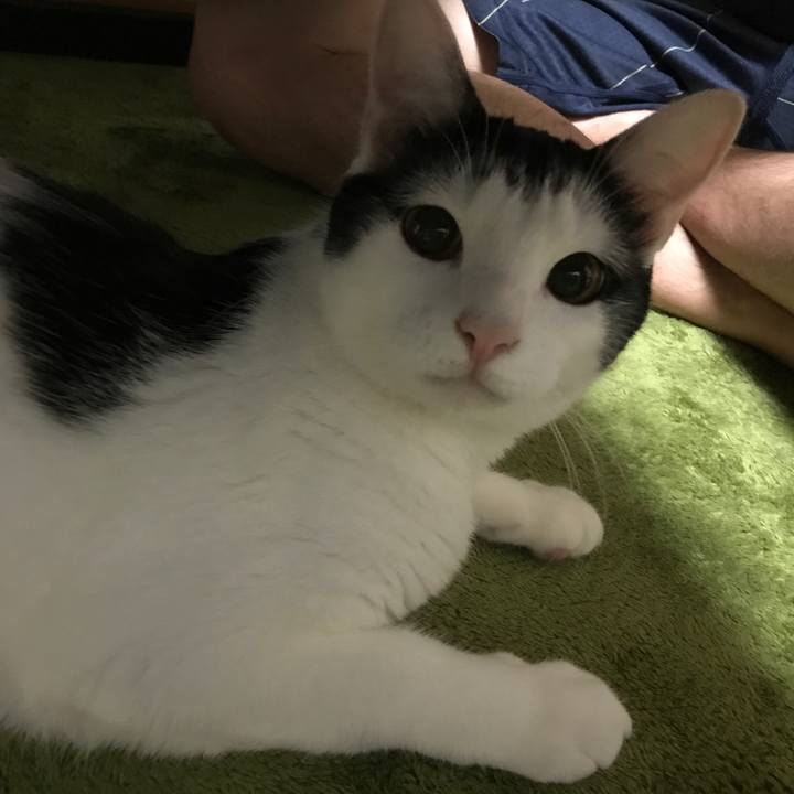 D830b52b 526c 4e96 8ce7 d52f8ff93d22