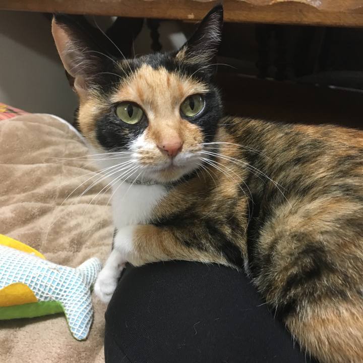 D8321436 ac75 405d ac6c 31adda3b5c38