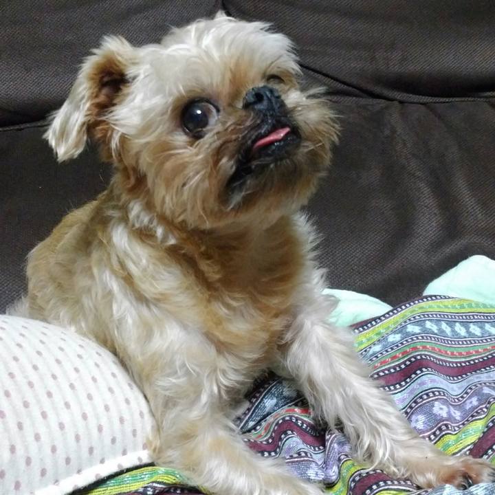 D8326bcb 3482 4405 a172 ce84038f9c31