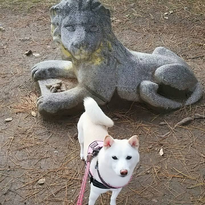 D832ac57 0549 429a 9dbf 3455941a2116