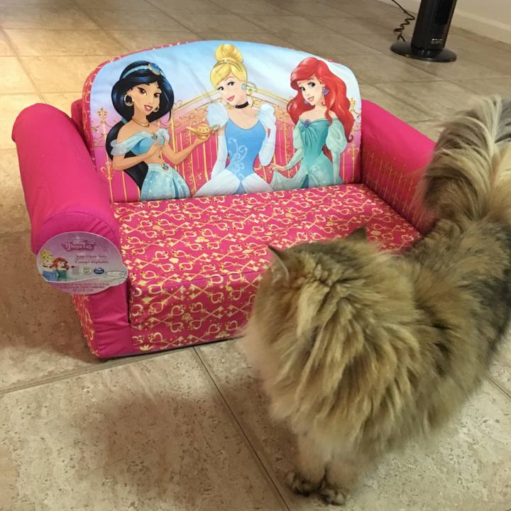 D832bee8 167c 4c9d 8a89 296187cb0b69