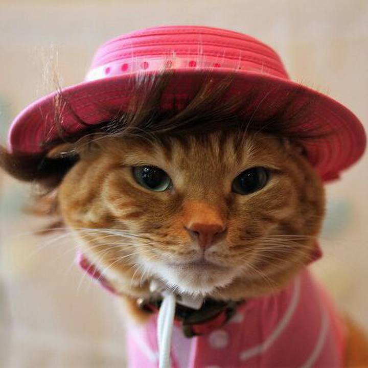 D832e25c 2b98 4bd3 b5f5 fff98468e67e