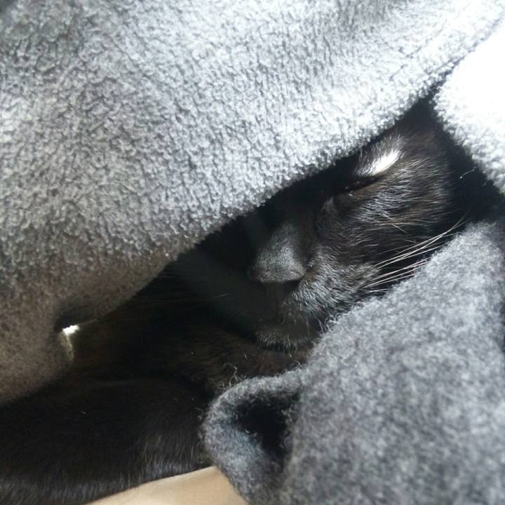 D833593f 9bc6 400b 911b 4d1b881a7c2b