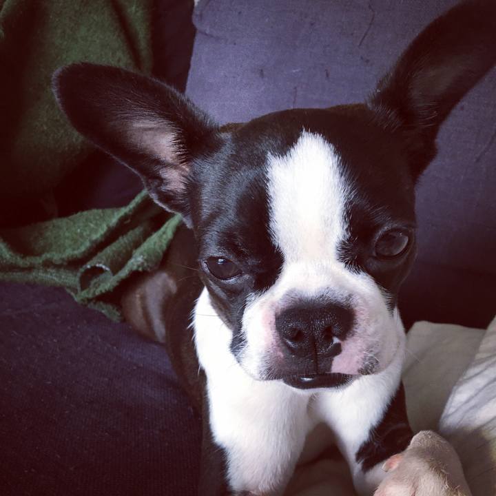 D83412f9 c360 4829 82e1 5911dc7a93e0