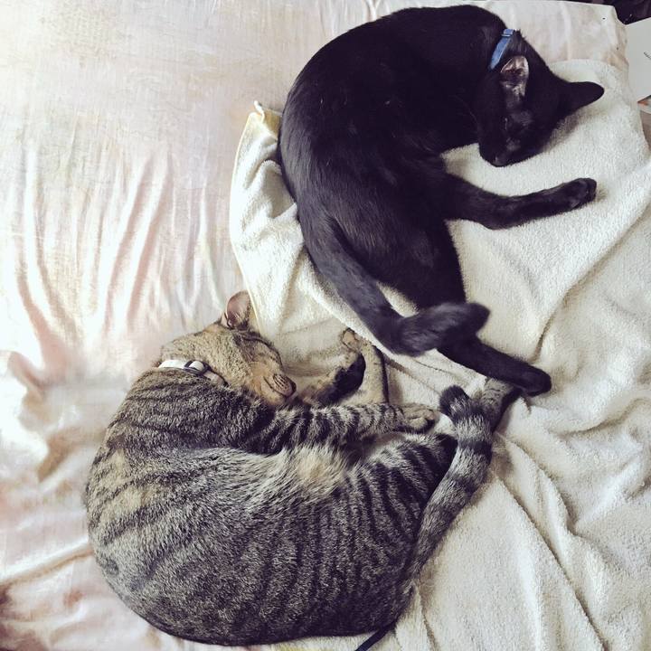 D8341370 ddbc 4dae 8d4b 3592d3abe538