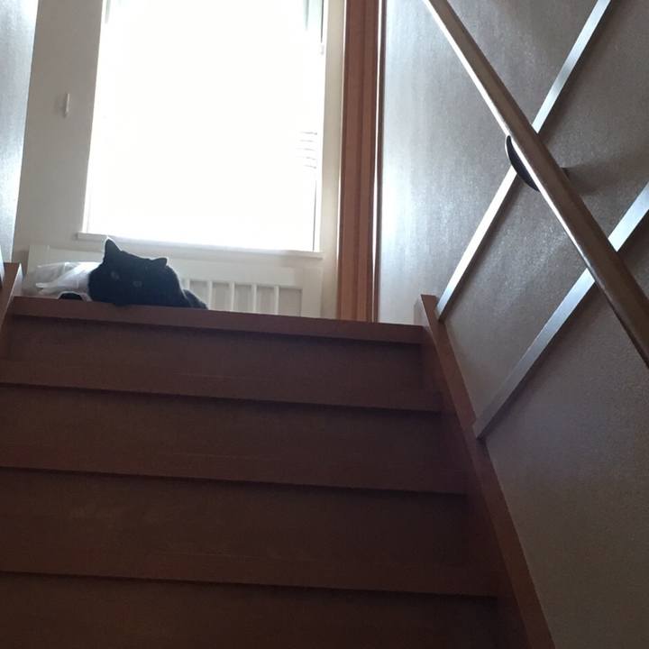 D8341fbd fc56 4735 8f57 8d37d7e2c1ae