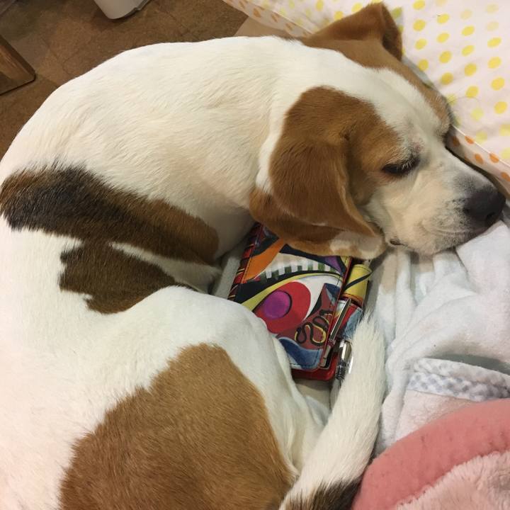 D834a787 dc53 47f8 9975 d1fc53c98986