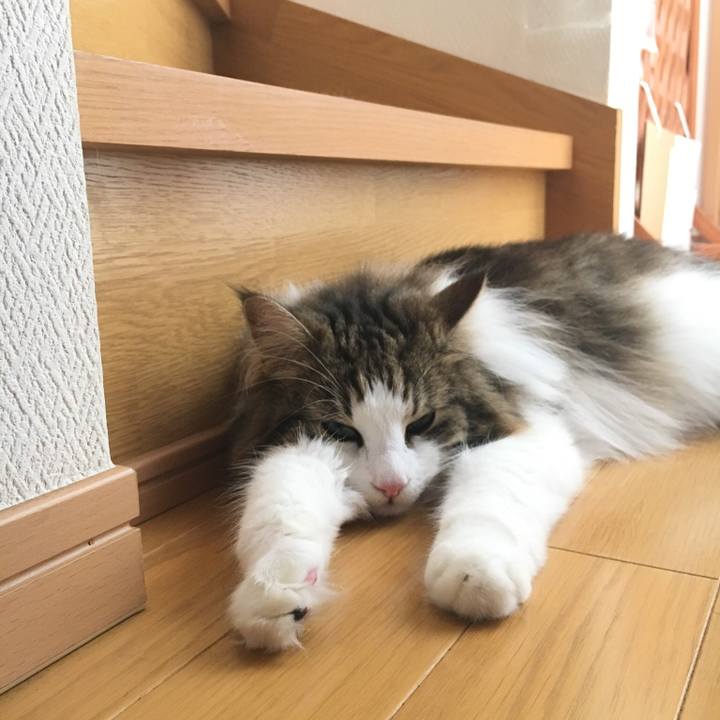 D834c5d4 df13 4a04 8d04 b6c74ef323a4