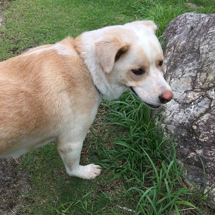 D8353f8a fd21 4fa0 8c60 38c3eb4a9542