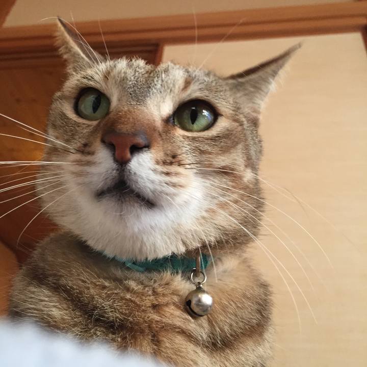 D835742c 96d4 4604 9c16 57256b9e26c8