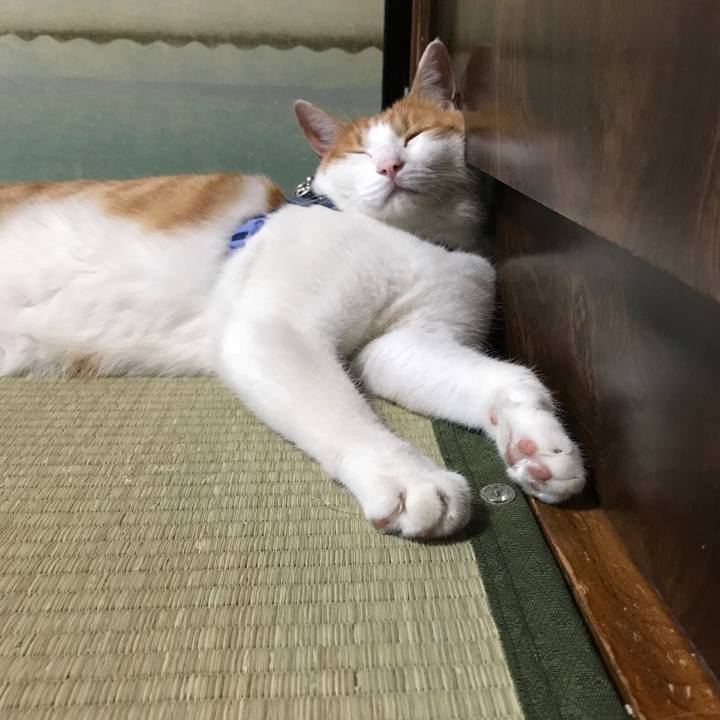 D8362b1f 03fe 44ce 89ab 03f4eec8bc01