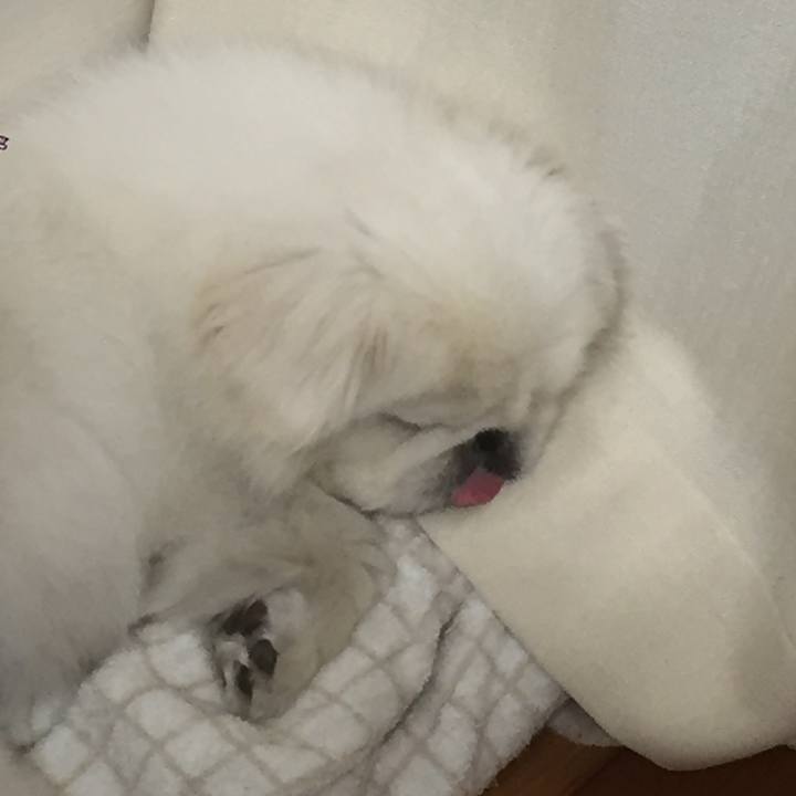 D83646bd 9164 43e6 8f0b 0f1d9e76deb2