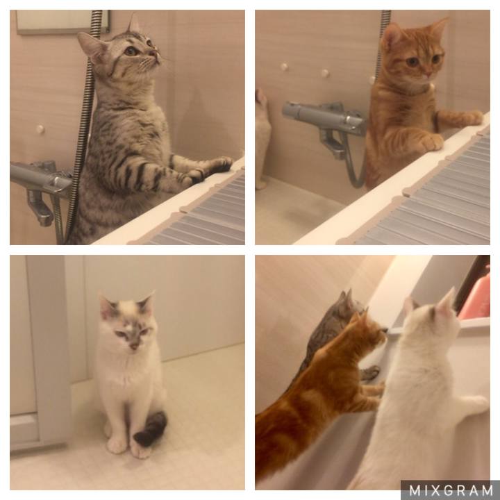 D8371caa f919 4679 8ca3 8c2a0633aaa2