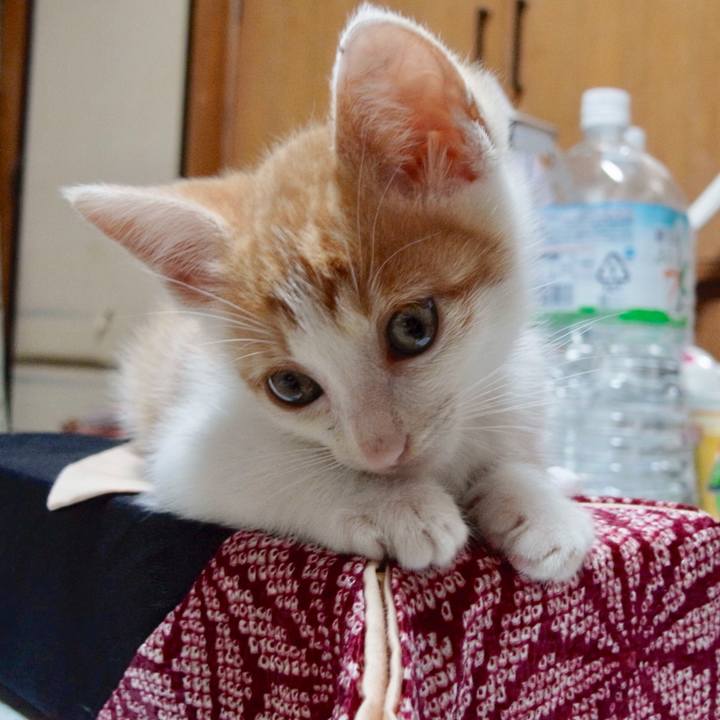 D837504c ba31 4e83 b00f 2b1032426d99