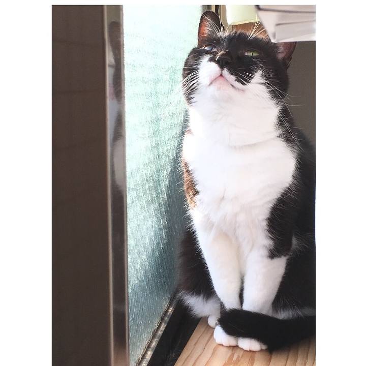 D8384d8d cd6f 4636 8c03 42b31825ae8f