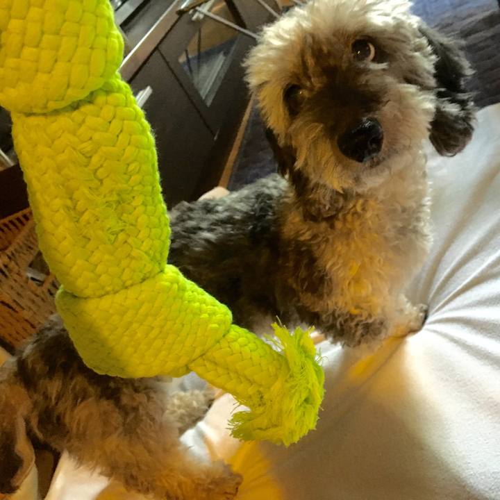 D83875b6 70a5 4be6 8cde 02e41c2915a6