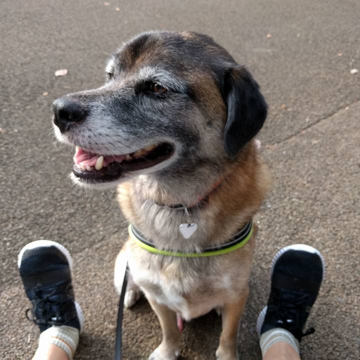 D8390d56 eab6 4533 ba95 843931468b3b