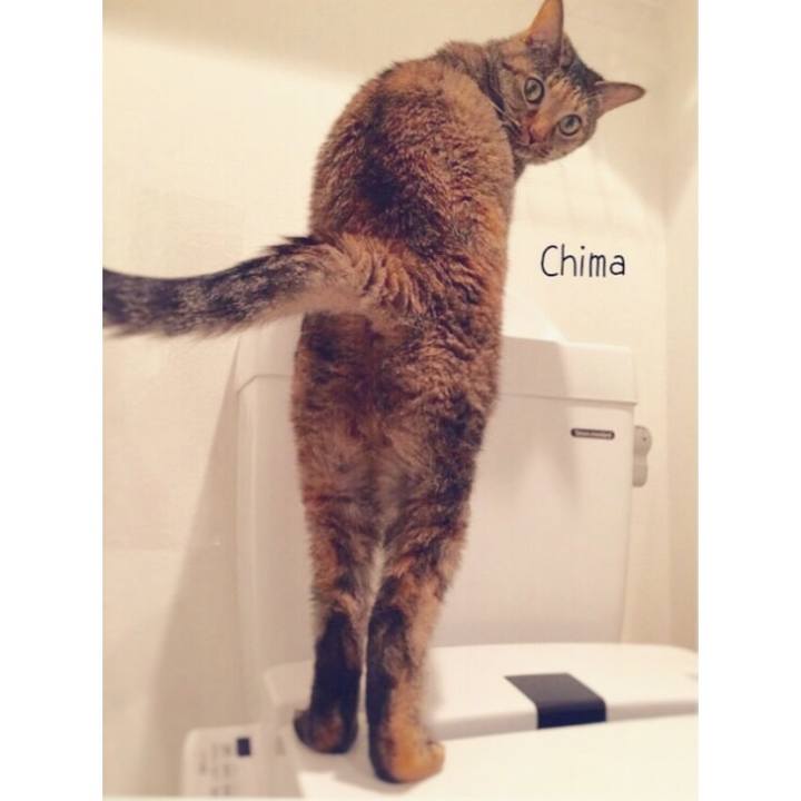 D8392bf6 5778 4602 87d7 4935ddcb3a2a