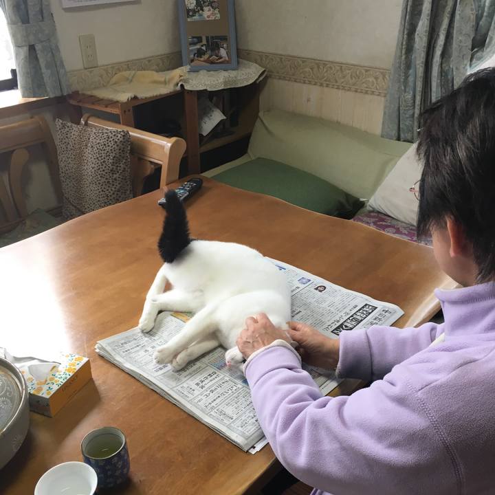 D8395bb7 677d 4745 bacb fb5d6fbc2c69