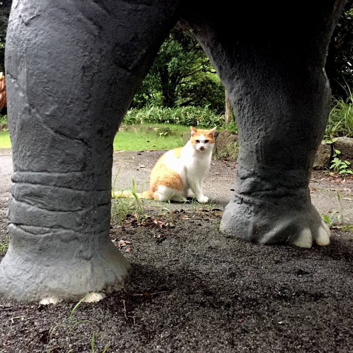 D8395cda 4d01 4c8c 9201 b6542708be8a