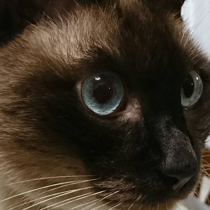 D8395e56 4d53 4d22 a316 1817ac36e78c