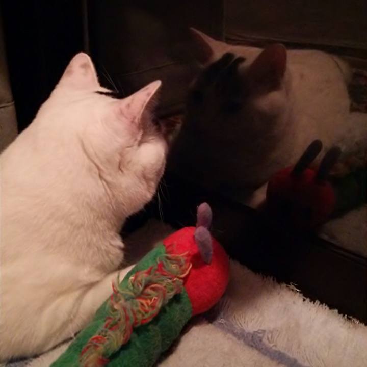 D8399728 11ff 4556 9d22 8dbb20fbf126