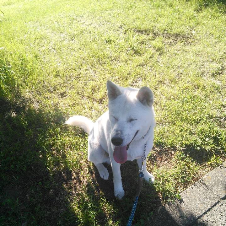 D839a54d 5f95 4fff 8969 c90f1b9e2d3c