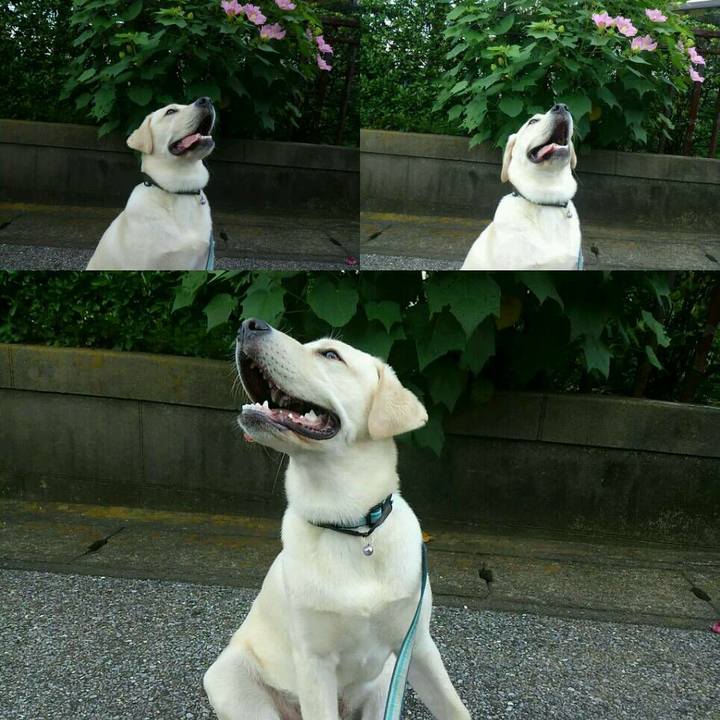 D839c380 5b1e 48dc bb36 33939029a438