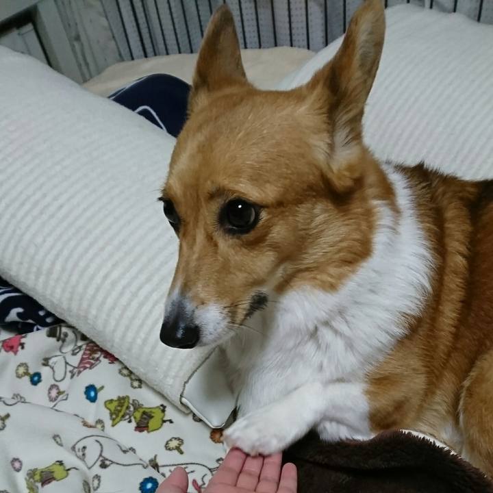 D83ada1a 4df2 4caf b43b 1d6d1b53f686