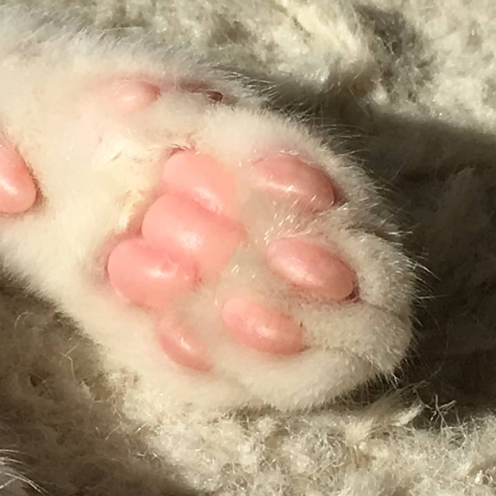 D83ae6f2 072a 41bd bc3f 52ca5cd2477d