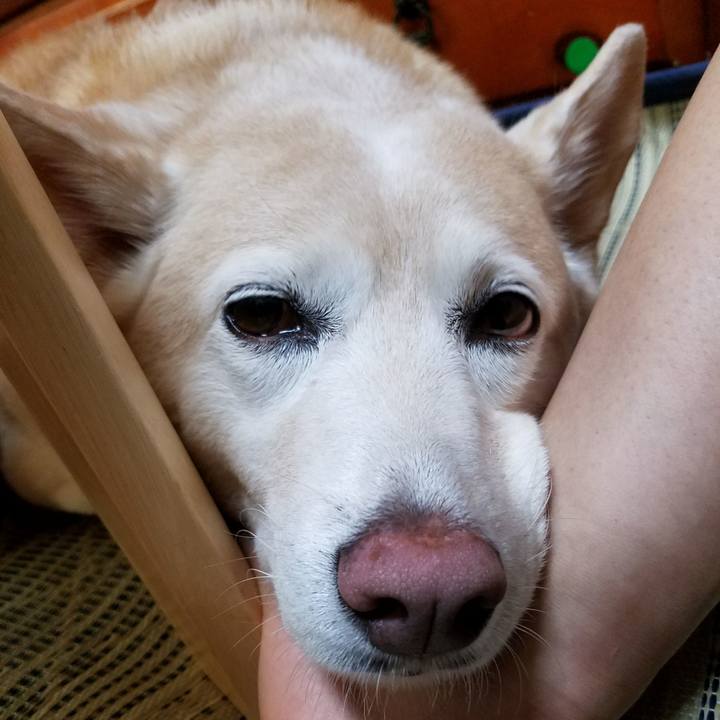 D83b446e 4e66 4138 a39f 58b171f0a8ce