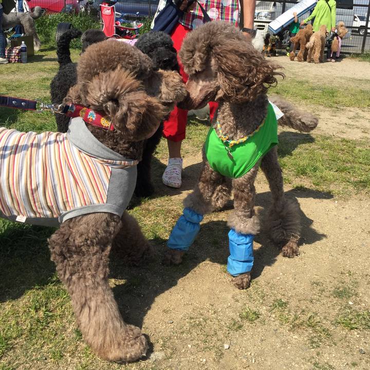 D83b7f8a 64f9 47c4 98a6 a52fa0ce5bdf