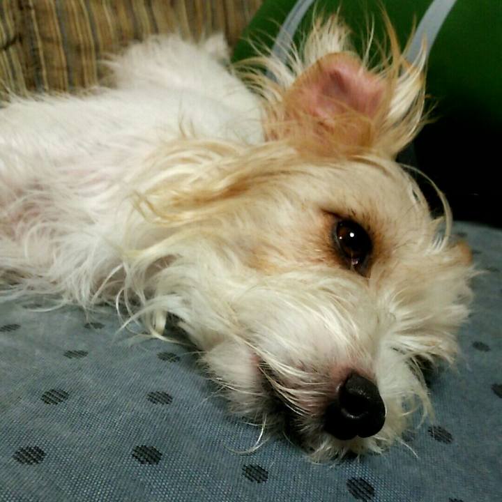 D83d894b 2c2d 4ce5 9878 b598d7c282a4