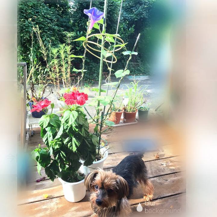 D83da2af 74d6 4a65 b3e1 91a29a4f242d