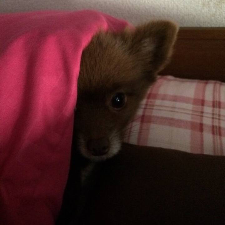 D83e1116 1952 4882 acd8 a9594e9150e9