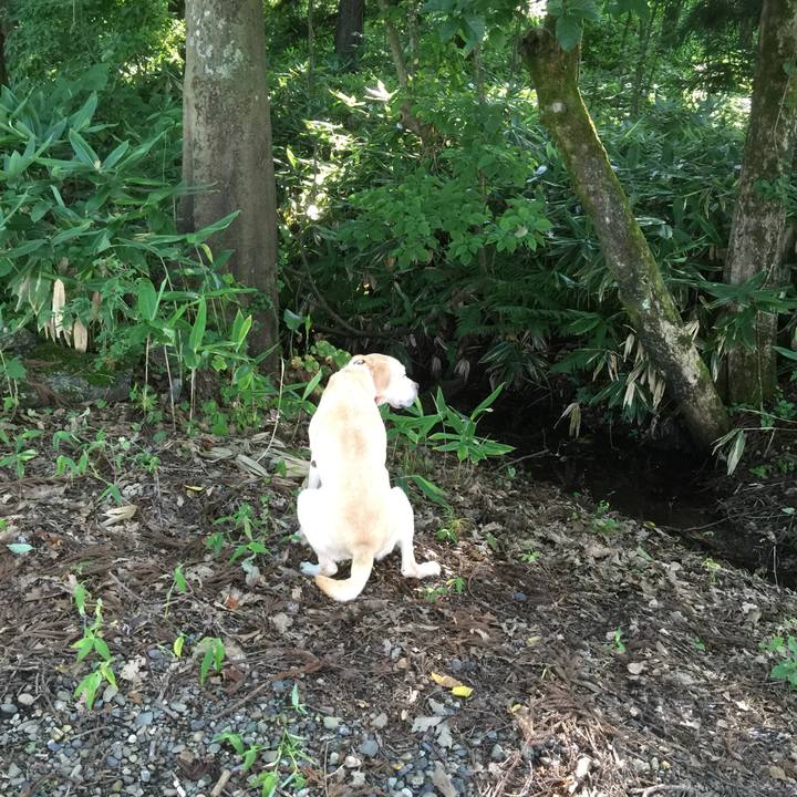 D83e18b2 d1f2 4ceb b36a 78269edb1402