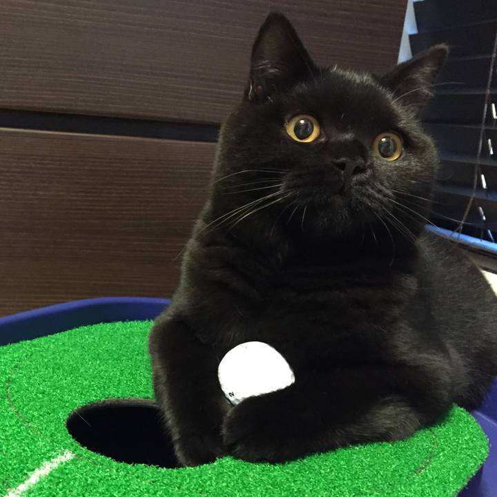 D83e7020 85aa 45a6 8f9d f810125d9736