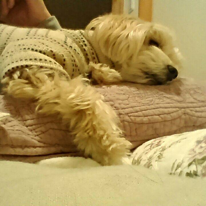 D83e7c84 d078 4ac7 979e c9dc852c608c