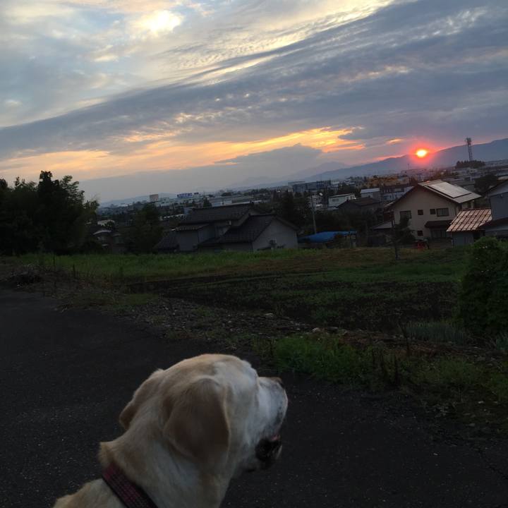 D83fa85e eec1 4a01 8843 d5ec08091f54