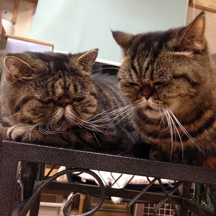 D83fb7e5 3220 43b0 a9ef 88bed4bd449d